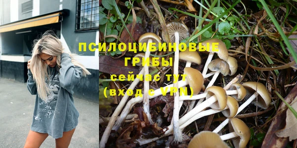 таблы Костерёво